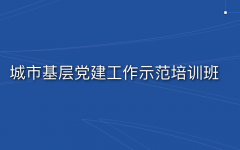 城市基層黨建工作示范培訓(xùn)班方案